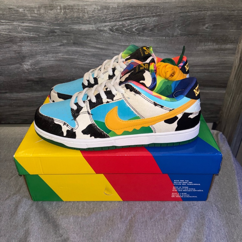 SB Nike Dunk “Chunky Dunky” - Size 9.5 Men’s